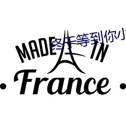 終于等到你小說