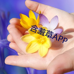 怕羞草APP