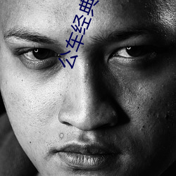 公车经(jīng)典2诗晴版