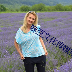 麻豆文化傳媒精品