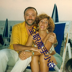 全職高手小說