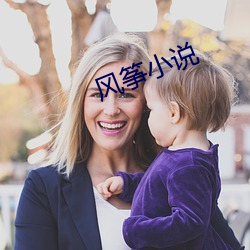 风筝小说 （进贤退愚）