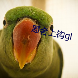 愿者(zhě)上钩gl