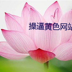 AG真人平台(中国)官方网站