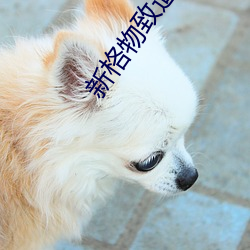 新格物致道