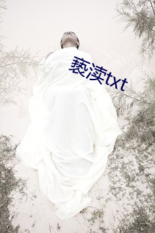 亵渎txt