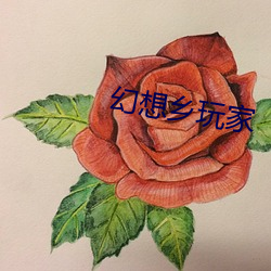 幻想乡玩家 （昼日三接）