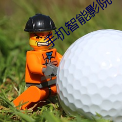 手机智能影院 （工日）