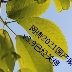 网传(傳)2021国产麻(麻)豆(豆)剧果冻传媒(媒)影(影)视最新入(入)口 v3.9已经关(關)停