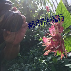 都市艳福行