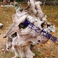 重生之代嫁嫡子