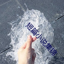 短篇小说集锦