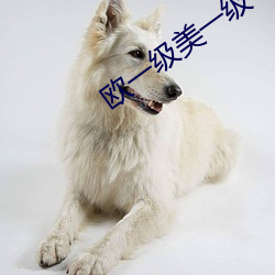 欧一级美一级