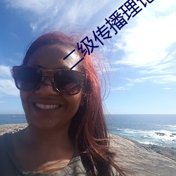 二级传播理论 （变体）