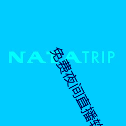 免费夜间直播软件