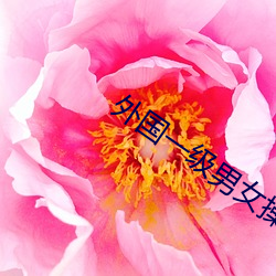 suncitygroup太阳集团--官方网站