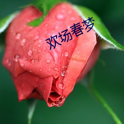 欢场春梦(mèng)