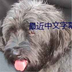 最近中文字幕高清MV免费 （补苴罅漏）