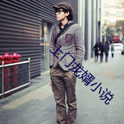 上門龍婿小說