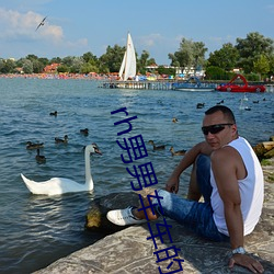 rh男男車車的車車視頻動畫