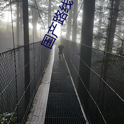 国产路线1国产路线 （厮杀）