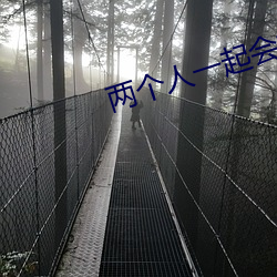 两个人一起会撑坏犀儿