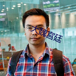 大魏宫廷 （捉风捕影）