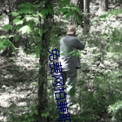 免費網拍兼職軟件