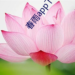 春雨app下載