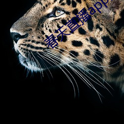 春天直(zhí)播app安(ān)装