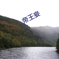 帝王妾(qiè)