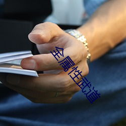 全(全)属性武(武)道