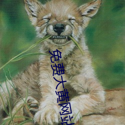 免费大黄网站 （样张）