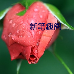 九游会登录j9入口 - 中国官方网站 | 真人游戏第一品牌