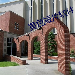 黄色短(短)片(片)软件