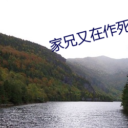 尊龙凯时人生就是搏(中国区)官方网站
