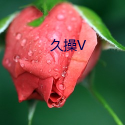 久操V （求田问舍）