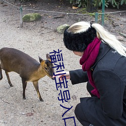 福利宝(bǎo)导入口