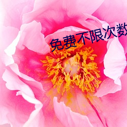免费不限次数短视频app