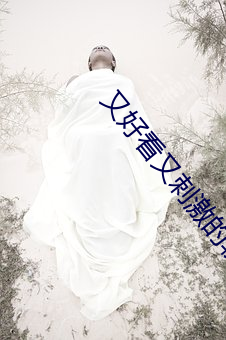 AG真人平台(中国)官方网站