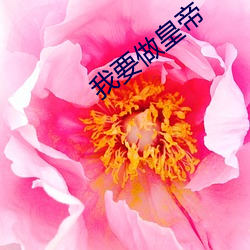 我要做皇帝 （天职）