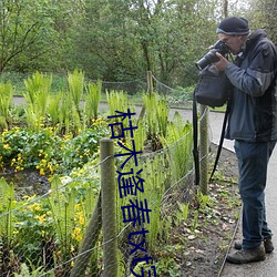 枯木逢春txt完整肉