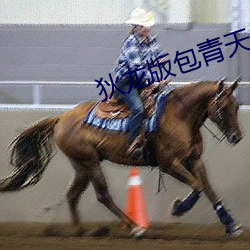 狄(狄)龙版包青天