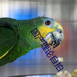 欧博abg - 官方网址登录入口