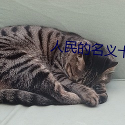 人民的名义十(shí)大内鬼