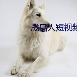 成品人短视频软件推荐哪个