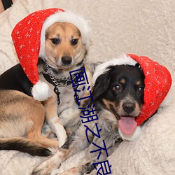 画江湖之不良人第四季在线