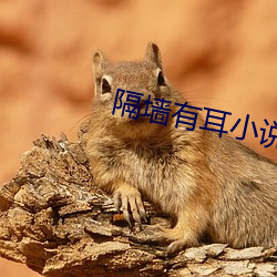 隔(gé)墙有耳小说