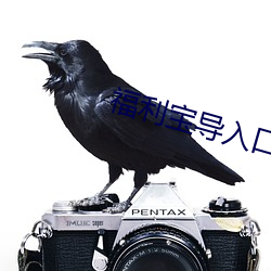 福(f)利宝(bo)导入口