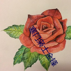 寒门枭士金锋 （相隔）